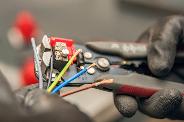 Best Electric Panel Repair  in Holtville, CA